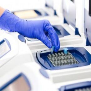 PCR analīze